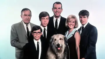 Backdrop for the TV series "My Three Sons" #1324721