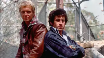 Backdrop for the TV series "Starsky & Hutch" #1341448