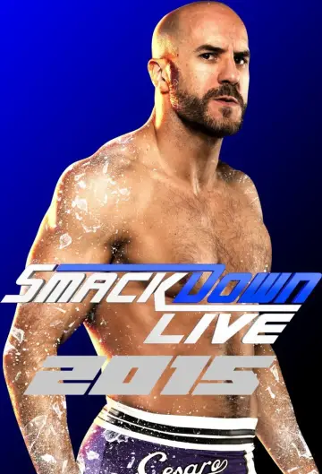 Poster for the TV series "WWE Friday Night SmackDown" #1248816