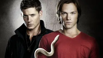 Backdrop for the TV series "Supernatural" #1232771