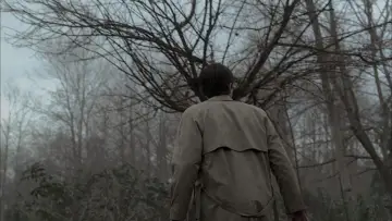 Backdrop к сериалу "Supernatural" #1232843