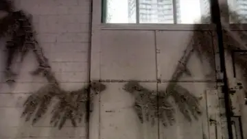 Backdrop к сериалу "Supernatural" #1232900