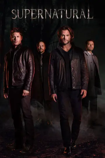 Poster for the TV series "Supernatural" #1232949