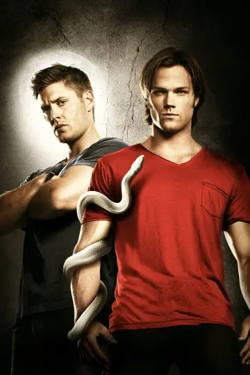 Poster for the TV series "Supernatural" #1233003