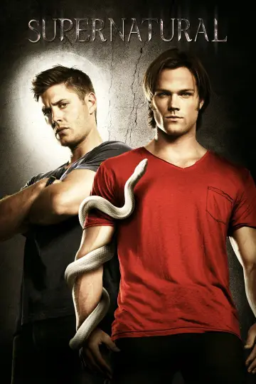 Poster for the TV series "Supernatural" #1233085