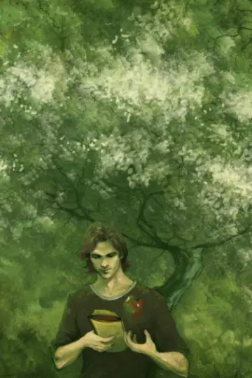 Poster for the TV series "Supernatural" #1233115
