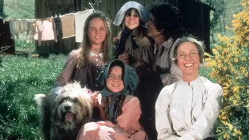 Backdrop for the TV series "Little House on the Prairie" #1290766