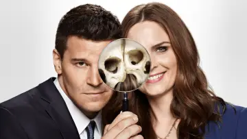 Backdrop for the TV series "Bones" #1241137
