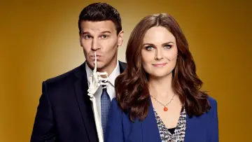 Backdrop for the TV series "Bones" #1241140