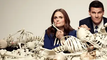 Backdrop for the TV series "Bones" #1241141