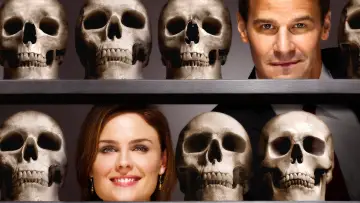 Backdrop for the TV series "Bones" #1241143