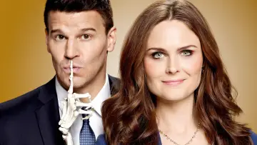 Backdrop for the TV series "Bones" #1241146