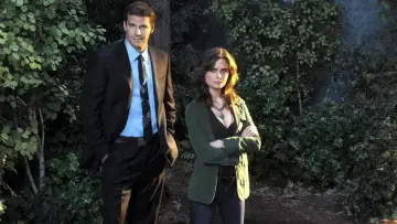 Backdrop for the TV series "Bones" #1241148