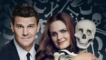Backdrop for the TV series "Bones" #1241153