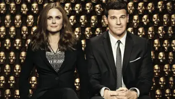 Backdrop for the TV series "Bones" #1241157