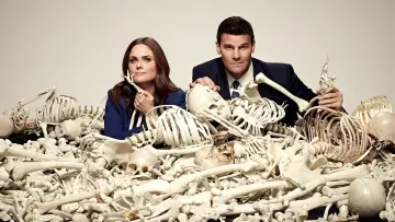 Backdrop for the TV series "Bones" #1241159