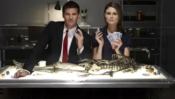 Backdrop for the TV series "Bones" #1241162