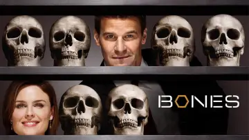 Backdrop for the TV series "Bones" #1241172