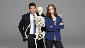 Backdrop for the TV series "Bones" #1241175