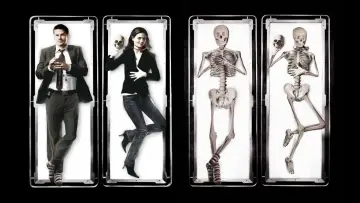 Backdrop for the TV series "Bones" #1241177