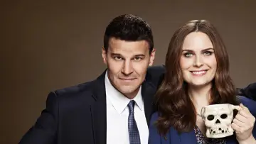 Backdrop for the TV series "Bones" #1241192