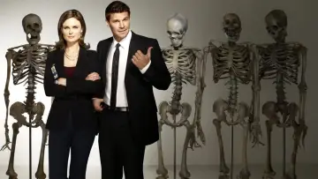 Backdrop for the TV series "Bones" #1241203