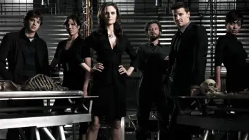 Backdrop for the TV series "Bones" #1241204