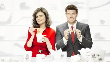 Backdrop for the TV series "Bones" #1241215