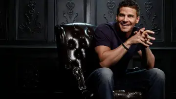 Backdrop for the TV series "Bones" #1241217