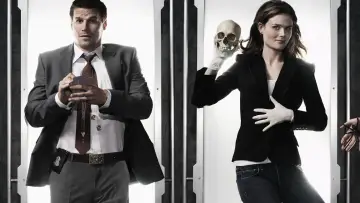 Backdrop for the TV series "Bones" #1241218
