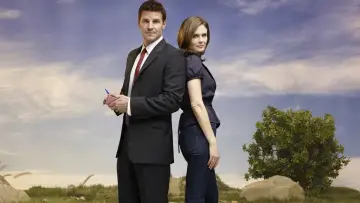 Backdrop for the TV series "Bones" #1241220
