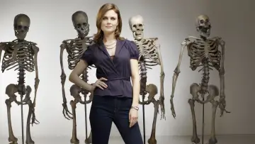 Backdrop for the TV series "Bones" #1241228