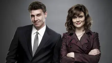 Backdrop for the TV series "Bones" #1241229