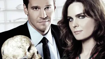 Backdrop for the TV series "Bones" #1241230