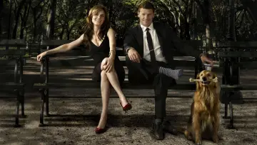 Backdrop for the TV series "Bones" #1241234