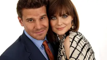 Backdrop for the TV series "Bones" #1241239