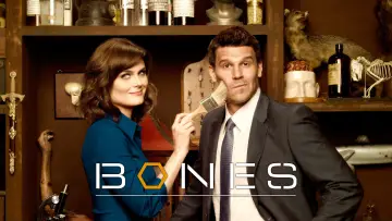 Backdrop for the TV series "Bones" #1241248