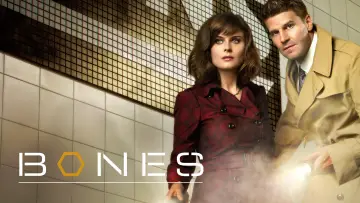 Backdrop for the TV series "Bones" #1241254