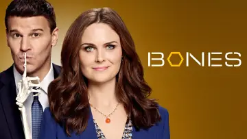Backdrop for the TV series "Bones" #1241260