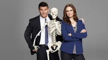 Backdrop for the TV series "Bones" #1241268