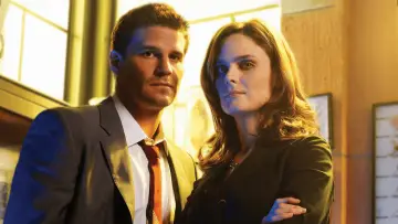 Backdrop for the TV series "Bones" #1241276