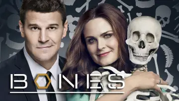 Backdrop for the TV series "Bones" #1241281