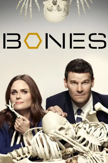 Poster for the TV series "Bones" #1241289
