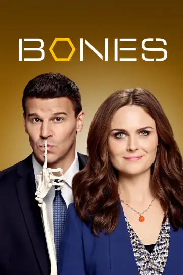 Poster for the TV series "Bones" #1241292