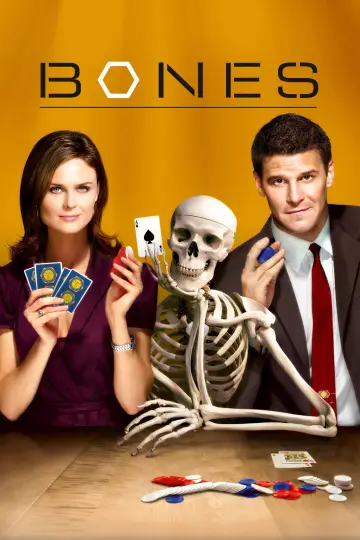 Poster for the TV series "Bones" #1241293