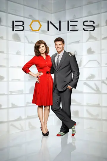 Poster for the TV series "Bones" #1241294