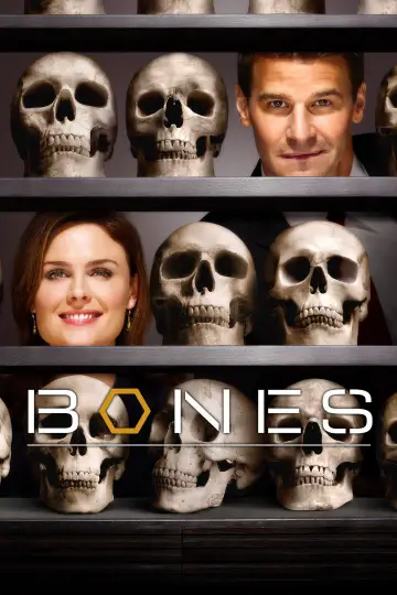 Poster for the TV series "Bones" #1241295