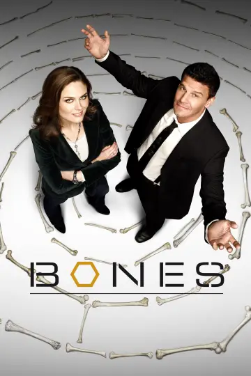 Poster for the TV series "Bones" #1241296