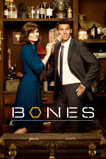 Poster for the TV series "Bones" #1241297