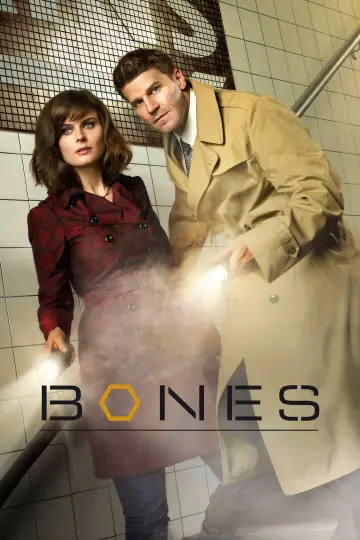 Poster for the TV series "Bones" #1241298
